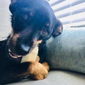 Meet your Posher, Julia